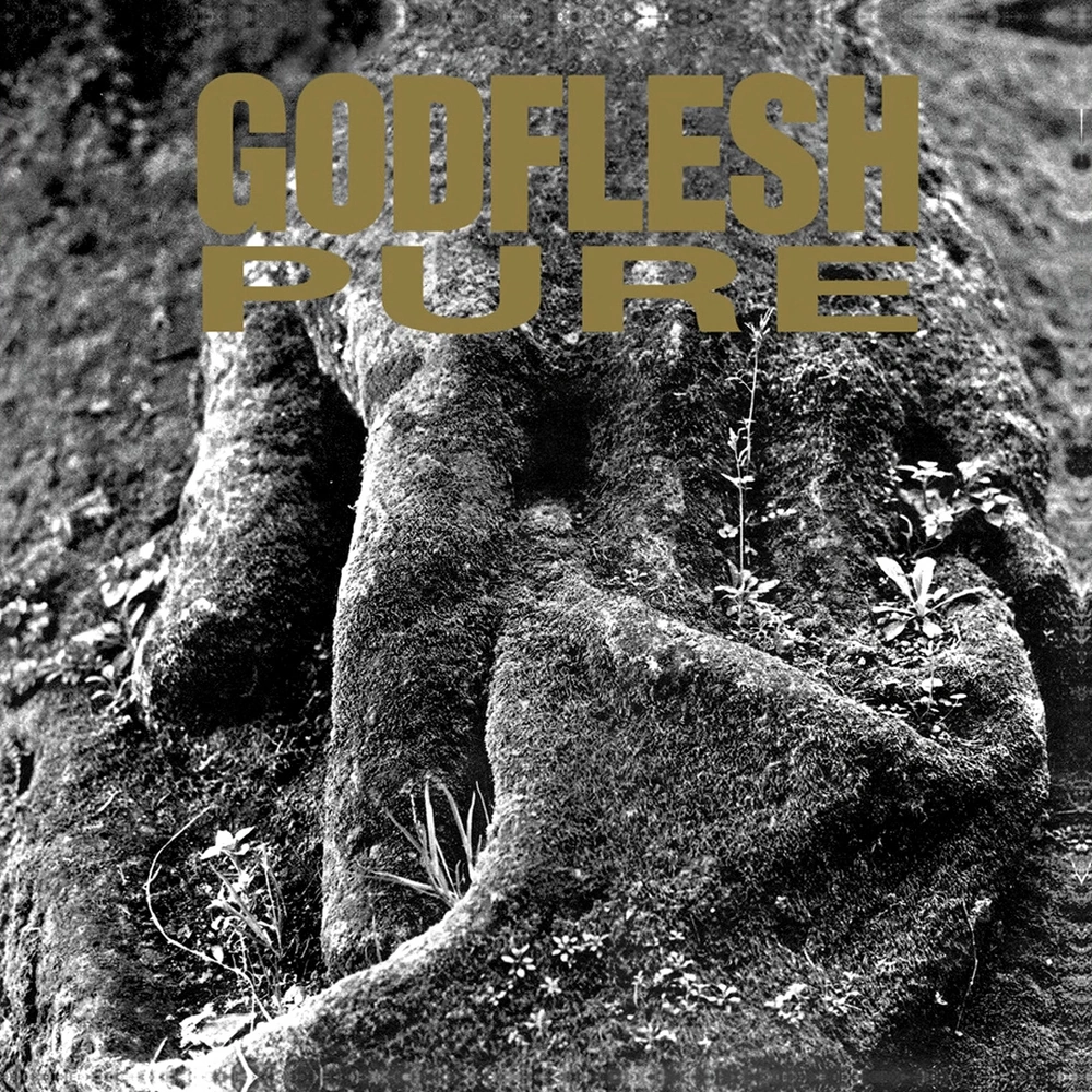 Godflesh (1992) Pure Godflesh (1992) Pure