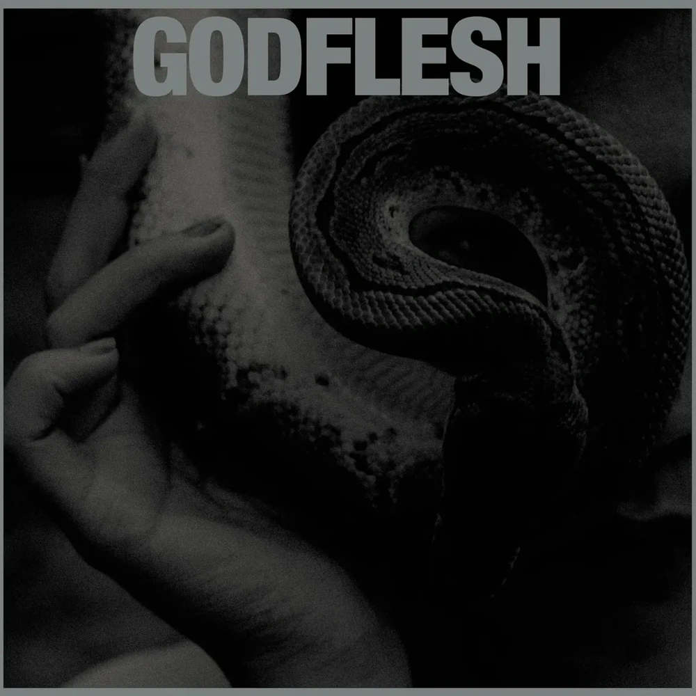 Godflesh (2023) Purge Godflesh (2023) Purge